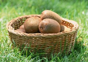 楽しむことができるホストクラブ