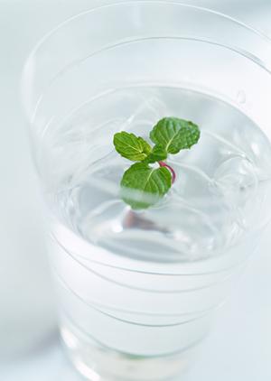 歌舞伎町で話題のホストクラブで遊ぶ